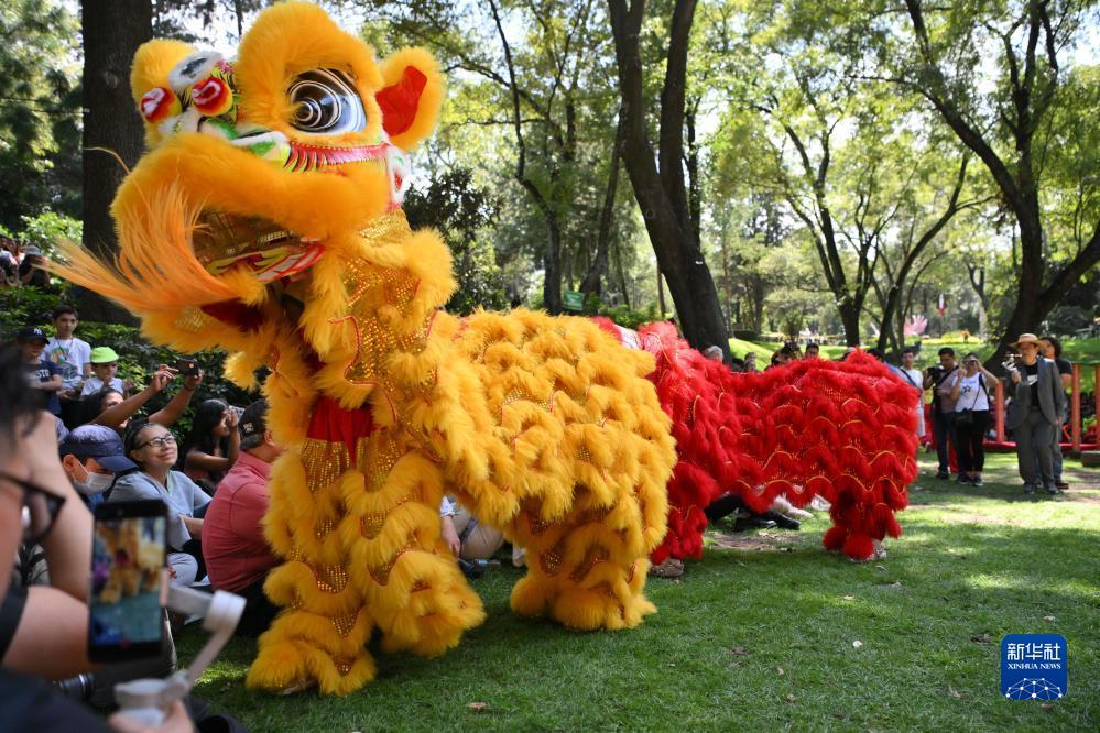 宝马游戏在线玩